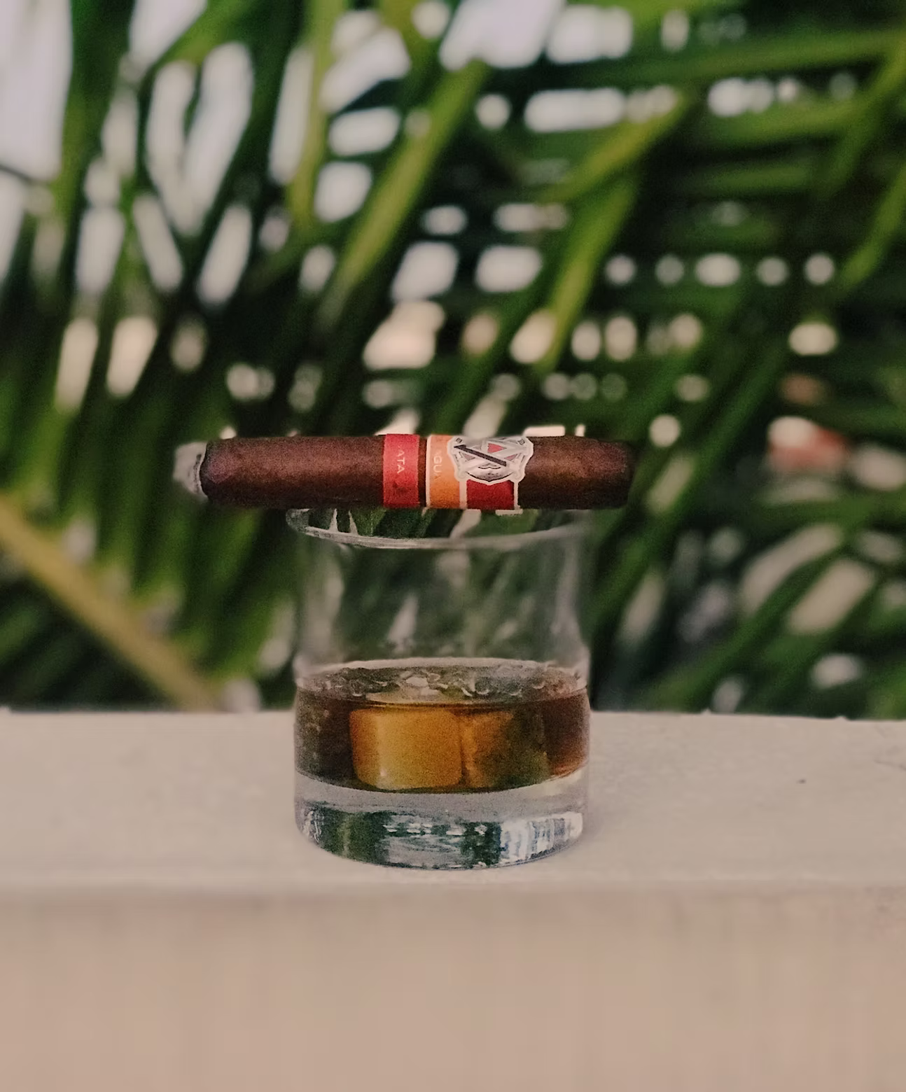 A cigar resting on a glass of whiskey, palm fronds behind it
